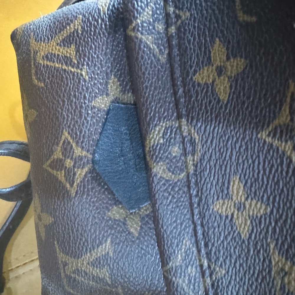 Louis Vuitton Monogrammed Palm Springs mini back pack - Picture 11 of 16
